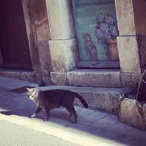 Miaou Art Chat Porte Peinture Paint painting Street Rue